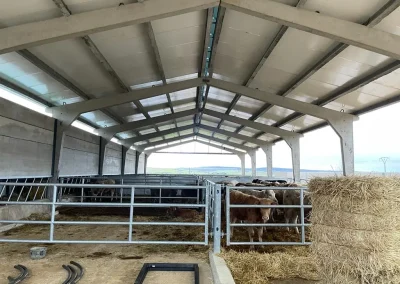 Nava ganadera San Felices de los Gallegos